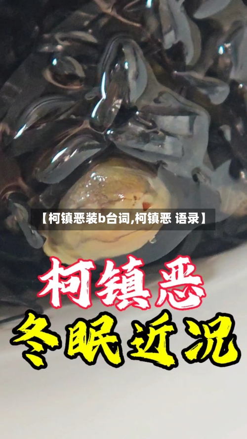 【柯镇恶装b台词,柯镇恶 语录】-第3张图片