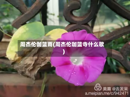 周杰伦伽蓝雨(周杰伦珈蓝寺什么歌)-第1张图片