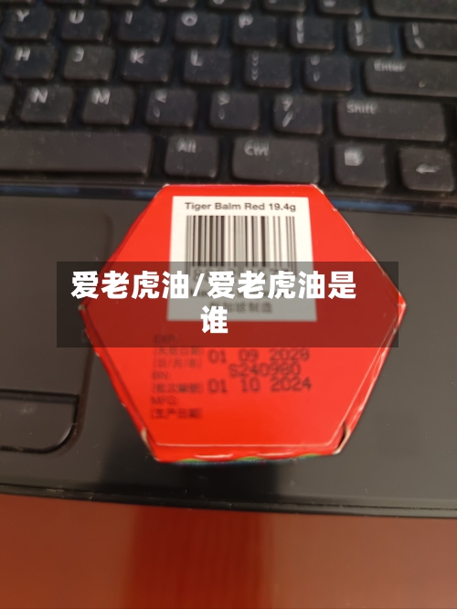 爱老虎油/爱老虎油是谁-第2张图片