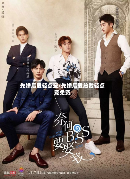 先婚后爱轻点宠/先婚后爱总裁轻点宠免费-第1张图片