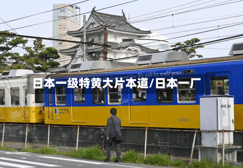 日本一级特黄大片本道/日本一厂-第3张图片