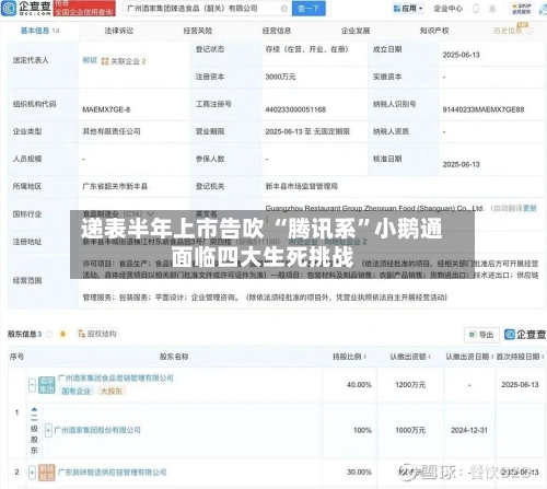 递表半年上市告吹 “腾讯系”小鹅通面临四大生死挑战-第2张图片