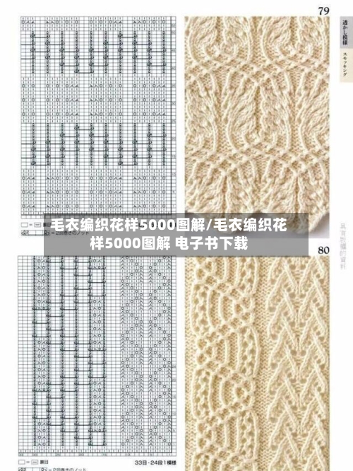 毛衣编织花样5000图解/毛衣编织花样5000图解 电子书下载-第2张图片