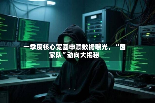 一季度核心宽基申赎数据曝光	，“国家队”动向大揭秘-第2张图片