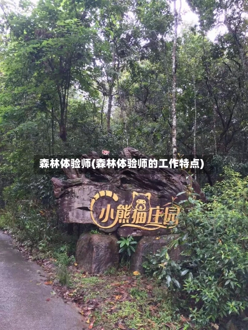 森林体验师(森林体验师的工作特点)-第2张图片