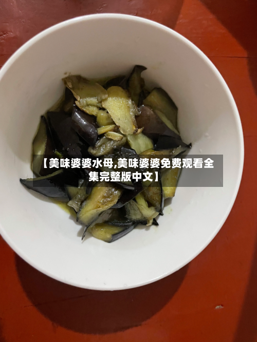 【美味婆婆水母,美味婆婆免费观看全集完整版中文】-第1张图片