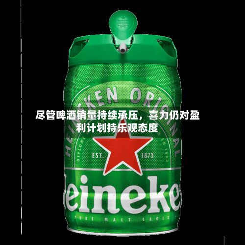 尽管啤酒销量持续承压，喜力仍对盈利计划持乐观态度-第1张图片