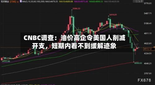 CNBC调查：油价高企令美国人削减开支，短期内看不到缓解迹象-第1张图片