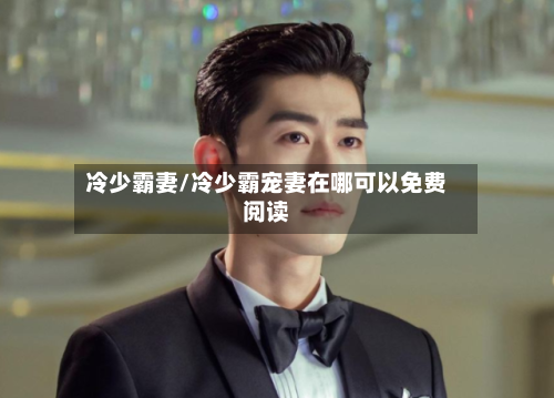 冷少霸妻/冷少霸宠妻在哪可以免费阅读-第1张图片