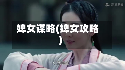 婢女谋略(婢女攻略)-第2张图片