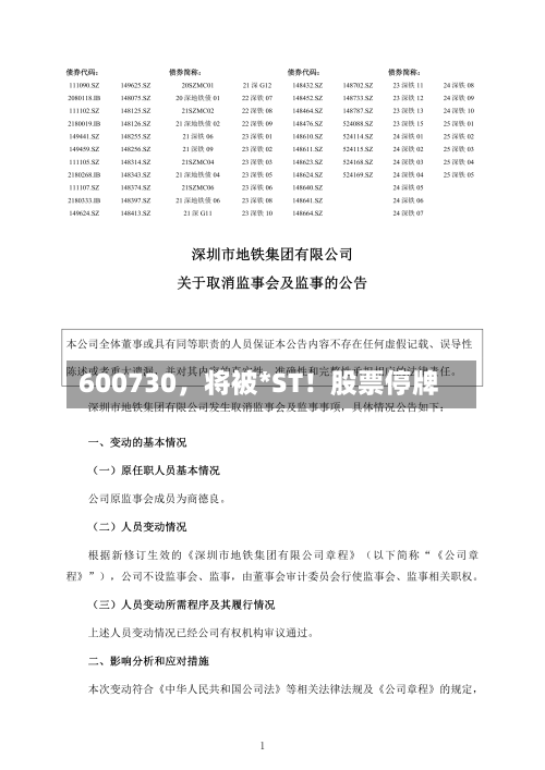 600730，将被*ST！股票停牌-第3张图片