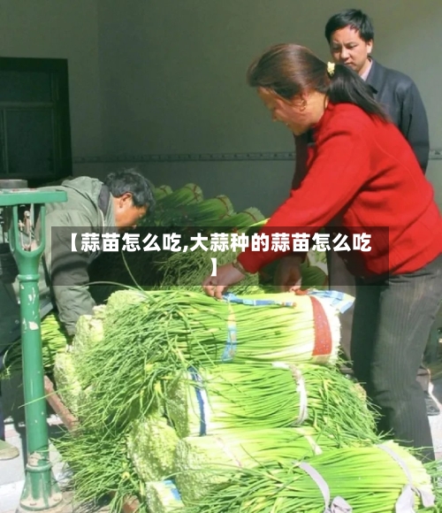 【蒜苗怎么吃,大蒜种的蒜苗怎么吃】-第2张图片