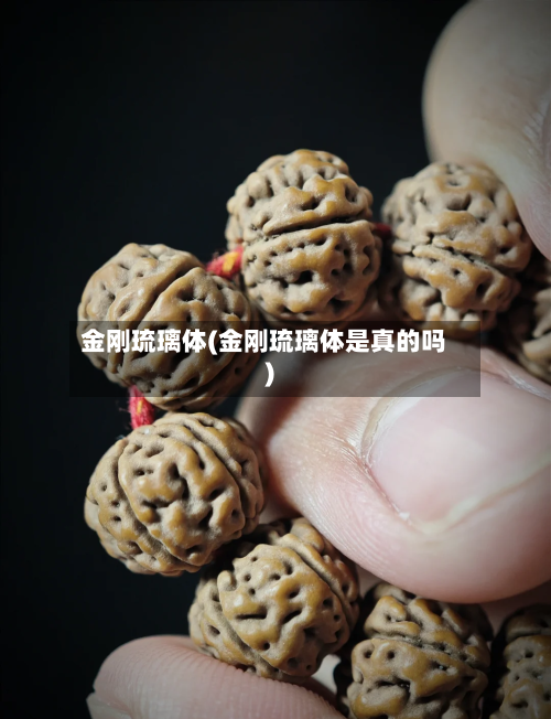 金刚琉璃体(金刚琉璃体是真的吗)-第2张图片