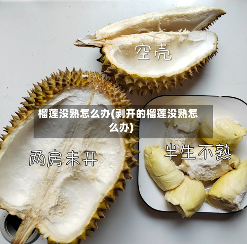 榴莲没熟怎么办(剥开的榴莲没熟怎么办)-第2张图片