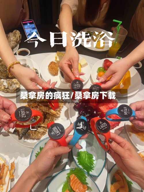 桑拿房的疯狂/桑拿房下载-第2张图片