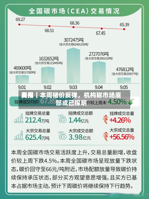 费用周报｜本周猪价反弹，机构称市场底部或已探明-第1张图片