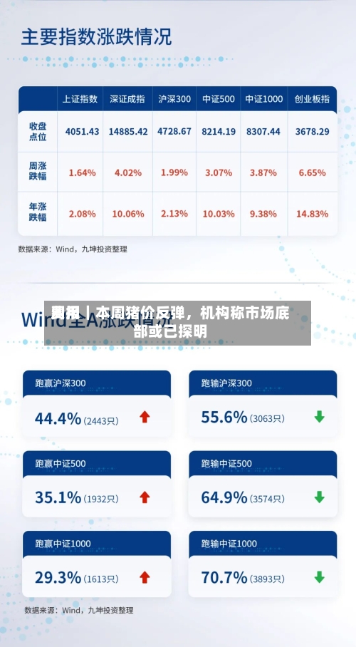 费用周报｜本周猪价反弹，机构称市场底部或已探明-第2张图片