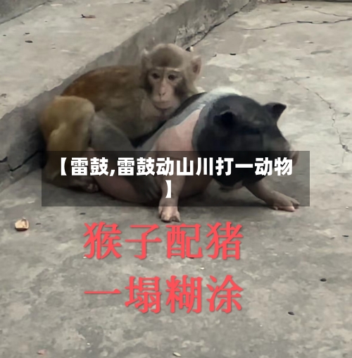 【雷鼓,雷鼓动山川打一动物】-第2张图片