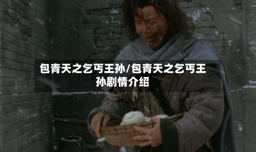 包青天之乞丐王孙/包青天之乞丐王孙剧情介绍-第1张图片