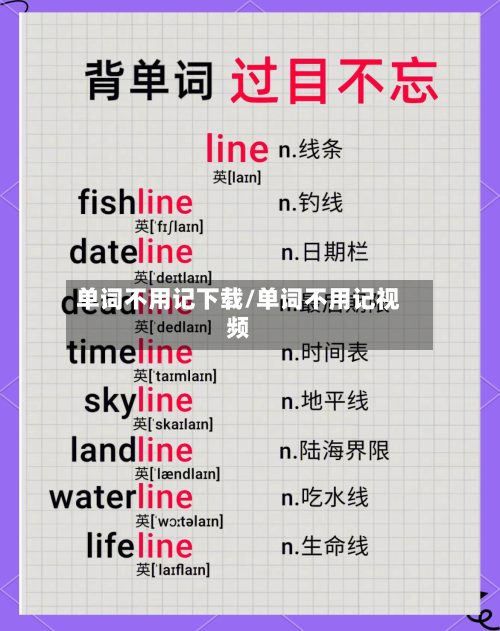 单词不用记下载/单词不用记视频-第2张图片