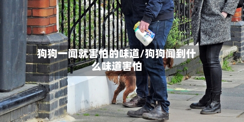 狗狗一闻就害怕的味道/狗狗闻到什么味道害怕-第2张图片