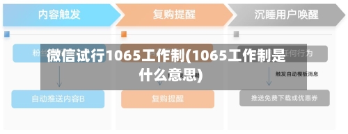 微信试行1065工作制(1065工作制是什么意思)-第1张图片