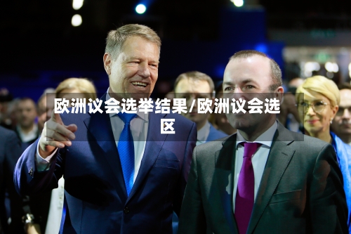 欧洲议会选举结果/欧洲议会选区-第2张图片
