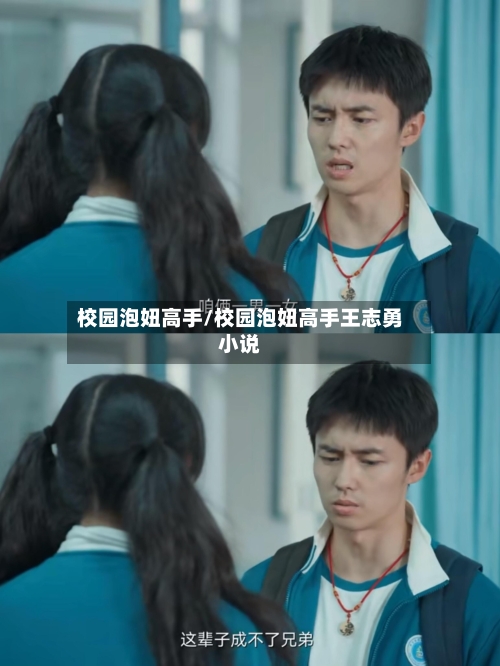 校园泡妞高手/校园泡妞高手王志勇小说-第1张图片