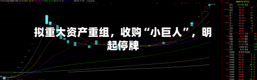 拟重大资产重组	，收购“小巨人”，明起停牌-第2张图片