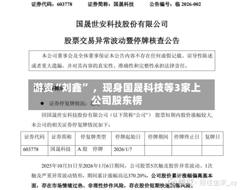 游资“刘鑫” ，现身国晟科技等3家上公司股东榜-第3张图片
