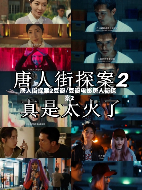 唐人街探案2豆瓣/豆瓣电影唐人街探案2-第2张图片