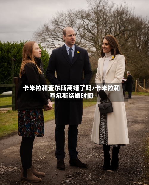 卡米拉和查尔斯离婚了吗/卡米拉和查尔斯结婚时间-第1张图片