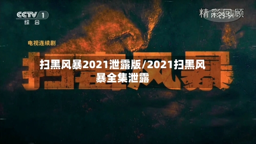 扫黑风暴2021泄露版/2021扫黑风暴全集泄露-第1张图片