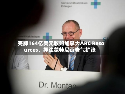 壳牌164亿美元收购加拿大ARC Resources	，押注蒙特尼页岩气扩张-第1张图片