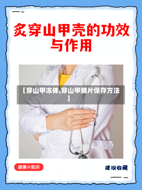 【穿山甲冻体,穿山甲鳞片保存方法】-第2张图片