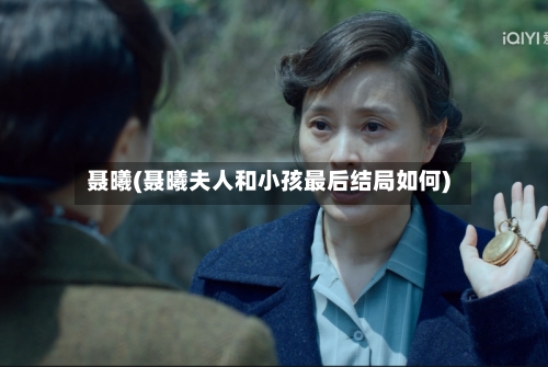 聂曦(聂曦夫人和小孩最后结局如何)-第2张图片