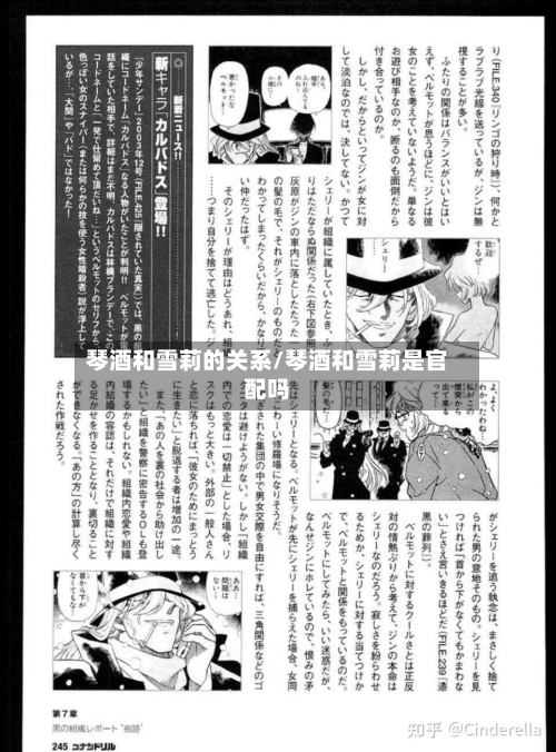 琴酒和雪莉的关系/琴酒和雪莉是官配吗-第2张图片