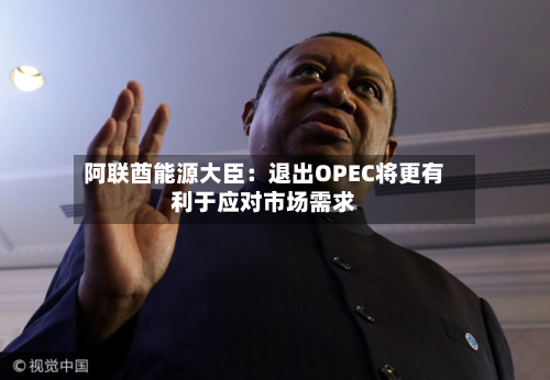 阿联酋能源大臣：退出OPEC将更有利于应对市场需求-第1张图片