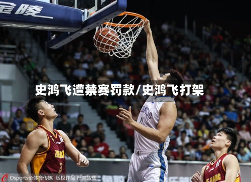 史鸿飞遭禁赛罚款/史鸿飞打架-第1张图片