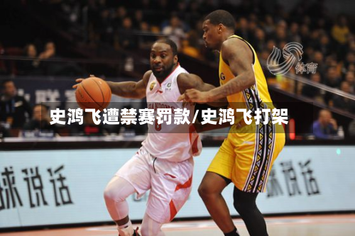 史鸿飞遭禁赛罚款/史鸿飞打架-第3张图片