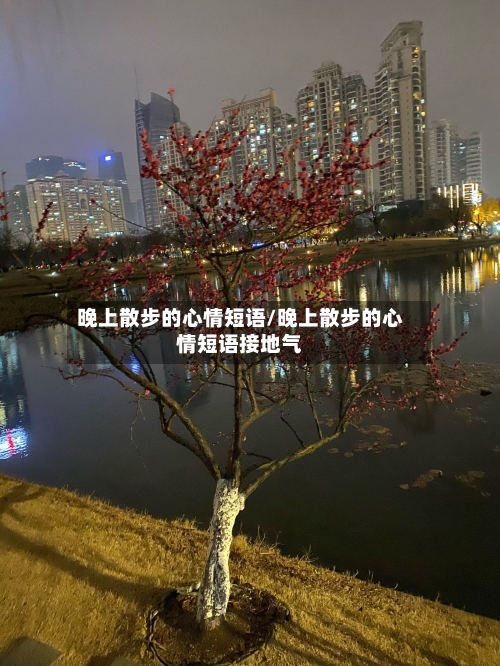 晚上散步的心情短语/晚上散步的心情短语接地气-第1张图片