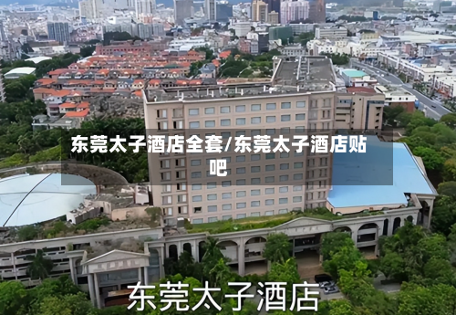 东莞太子酒店全套/东莞太子酒店贴吧-第2张图片