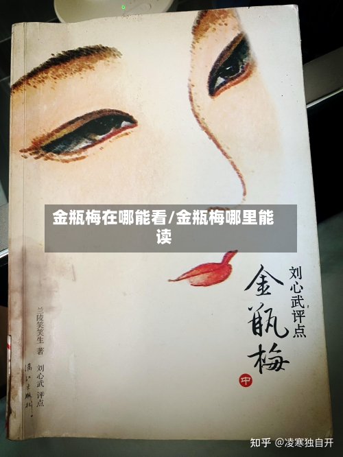 金瓶梅在哪能看/金瓶梅哪里能读-第1张图片