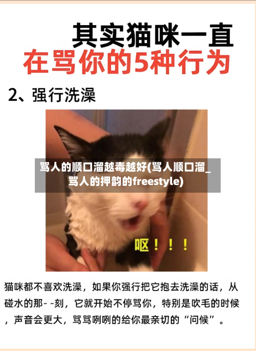 骂人的顺口溜越毒越好(骂人顺口溜_骂人的押韵的freestyle)-第1张图片