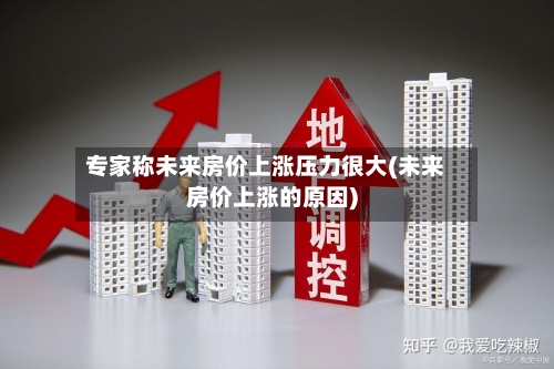 专家称未来房价上涨压力很大(未来房价上涨的原因)-第2张图片