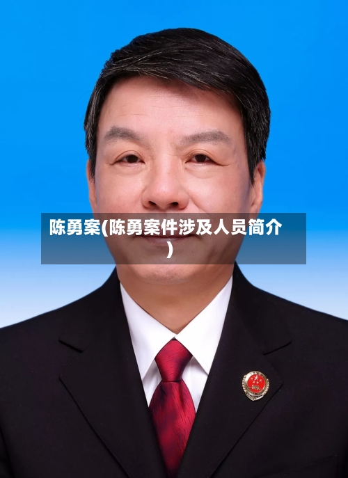 陈勇案(陈勇案件涉及人员简介)-第3张图片