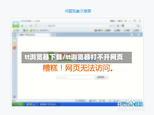 tt浏览器下载/tt浏览器打不开网页-第2张图片