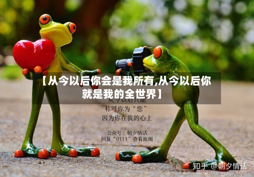 【从今以后你会是我所有,从今以后你就是我的全世界】-第2张图片
