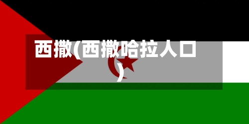西撒(西撒哈拉人口)-第1张图片