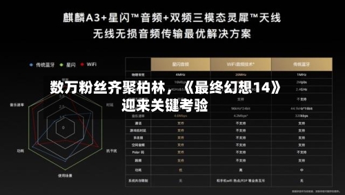 数万粉丝齐聚柏林，《最终幻想14》迎来关键考验-第1张图片